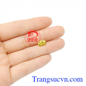 Saphir vàng ép vỉ hưng thịnh