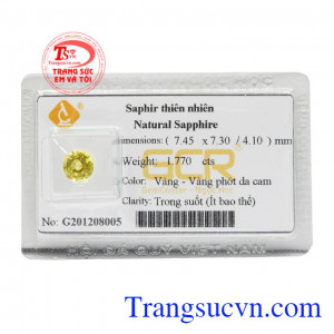 Saphir vàng ép vỉ sung túc
