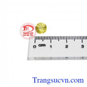 Saphir vàng ép vỉ sung túc