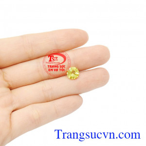 Saphir vàng ép vỉ sung túc