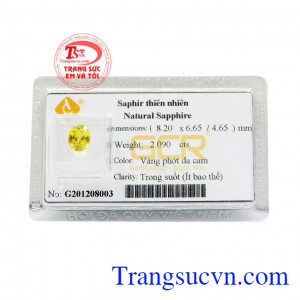 Saphir vàng ép vỉ tài lộc