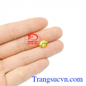 Saphir vàng là biểu tượng cho giàu sang và phú quý. Saphir vàng ép vỉ tài lộc