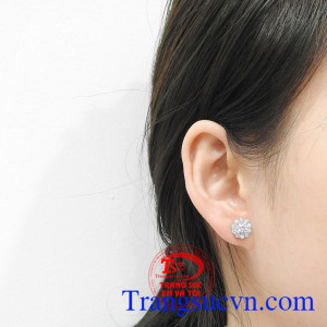 Hoa tai bạc kiêu sa