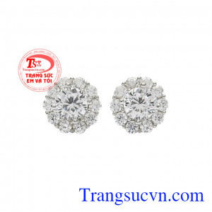 Hoa tai bạc kiêu sa