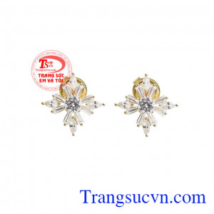 Hoa tai vàng tây tỏa sáng