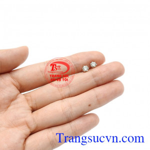 Hoa tai kim cương nhỏ xinh có giấy kiểm định đá quý uy tín. 