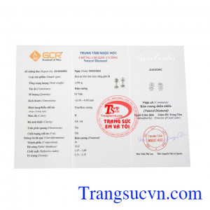 Hoa tai kim cương nhỏ xinh