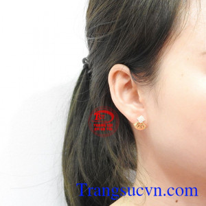 Hoa tai vàng tây độc đáo