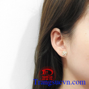 Hoa tai cỏ bốn lá trang nhã