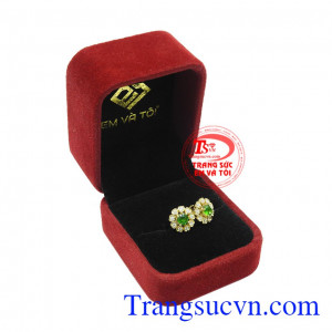 Hoa tai Diopside duyên dáng đẹp.