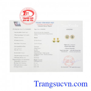 Hoa tai Diopside duyên dáng hiện đại.