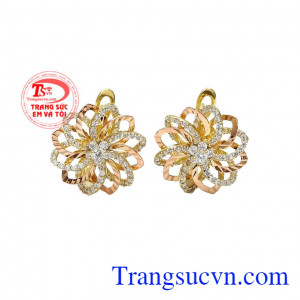 Hoa tai nữ rạng rỡ