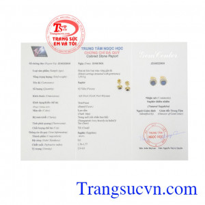 Hoa tai nữ Sapphire nhỏ xinh hiện đại.