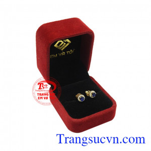 Hoa tai nữ Sapphire nhỏ xinh đẹp.