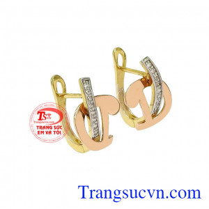 Hoa tai nữ thời trang, cá tính và nổi bật.