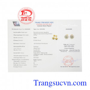 Hoa tai Sapphire thanh lịch xinh xắn.