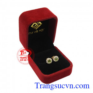 Hoa tai Sapphire thanh lịch đẹp.