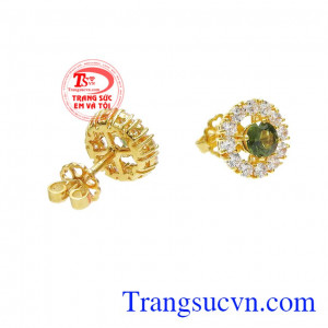 Hoa tai Sapphire thanh tú giao hàng nhanh trên toàn quốc.