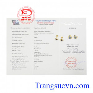 Hoa tai trái tim Sapphire đẹp chất lượng.