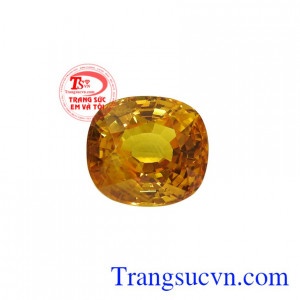 Viên đá này có thể gắn lên các sản phẩm trang sức vàng, bạc như mặt dây hay nhẫn mang đến vẻ sang trọng, quyền lực đến cho người dùng.