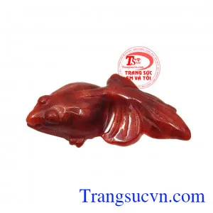 Cá đỏ ngọc cẩm thạch