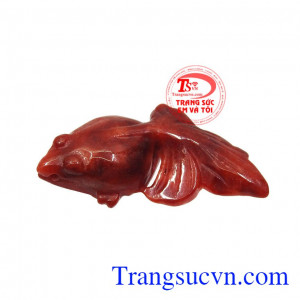 Cá đỏ ngọc cẩm thạch