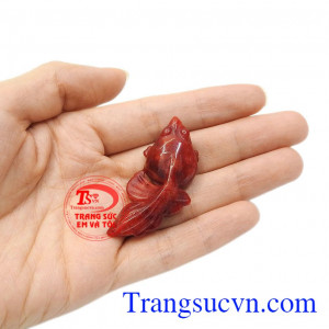 Sản phẩm phù hợp với người mệnh hỏa và mệnh thổ. Cá đỏ ngọc cẩm thạch