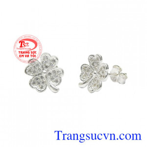 Cỏ bốn lá đã được nhiều người biết đến là loại cỏ đem đến vận may.