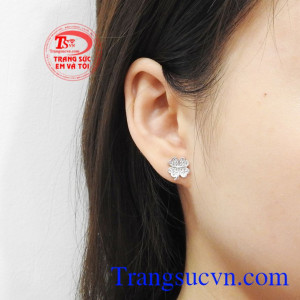 Hoa tai bạc cỏ may mắn đẹp.