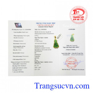 Giấy kiểm định