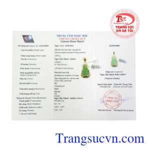 Giấy kiểm định