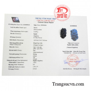 Giấy kiểm định