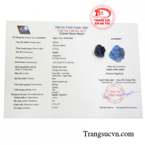 Giấy kiểm định