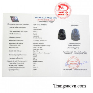 Giấy kiểm định