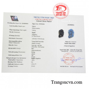 Giấy kiểm định