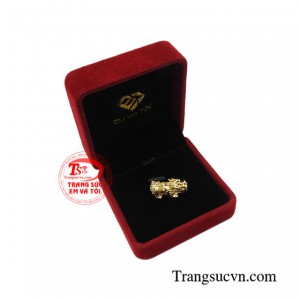 Thanh toán an toàn 