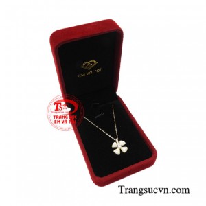 Giao hàng toàn quốc 