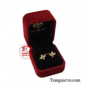 Sản phẩm đảm bảo uy tín chất lượng 