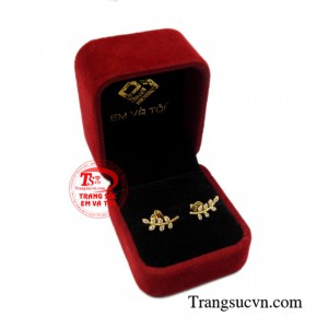 Hoa tai vàng tây nữ tính