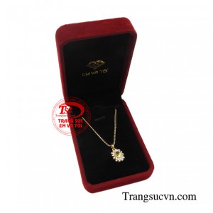 Giao hàng toàn quốc 