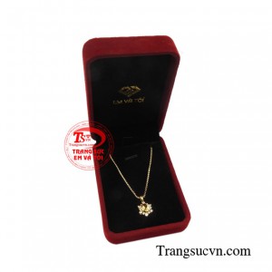 Giao hàng toàn quốc 