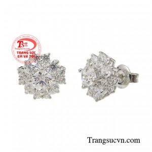 Đôi hoa tai cũng là món quà tặng tuyệt vời cho người bạn yêu thương vào những dịp đặc biệt. 