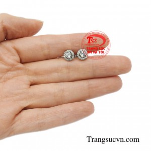 Hoa tai nữ yêu kiều vàng 10k Korea.