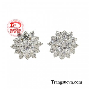 Hoa tai vàng trắng quý phái là sự lựa chọn tuyệt vời cho các cô nàng yêu sự sang trọng nhưng cũng không kém phần cá tính. 