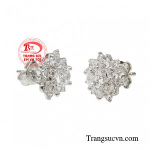 Với phái đẹp, hoa tai là phụ kiện không thể thiếu của phá đẹp, là điểm nhấn cho đôi tai xinh đẹp của các nàng. 