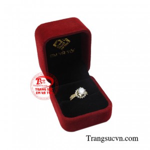 Thanh toán an toàn 