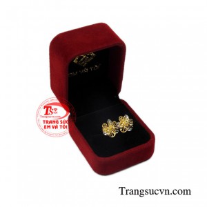 Bông tai vàng tinh tế chất lượng.
