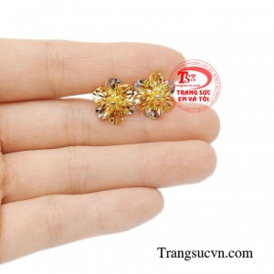 Bông tai vàng tinh tế giao hàng tận nơi.