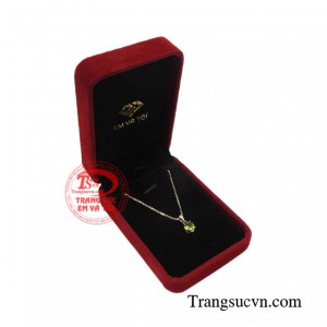 Thanh toán an toàn 