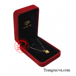 Giao hàng toàn quốc